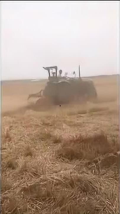 国产拖拉机作业视频
